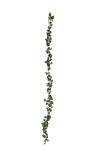 EUROPALMS Philodendrongirlande Classic , künstlich, 180cm