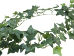 EUROPALMS Ivy garland classic, artificial, 180cm