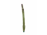 EUROPALMS Reed grass with cattails,light green,...
