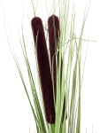 EUROPALMS Reed grass with cattails,light green, artificial, 152cm