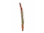EUROPALMS Reed grass with cattails, light-brown,...