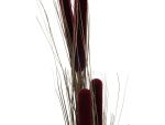 EUROPALMS Reed grass cattails, dark-brown, artificial,...