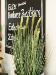 EUROPALMS Wheat early summer, artificial, 60cm