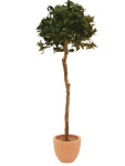 Lorbeerkugelbaum, Kunstpflanze, 180cm