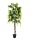 EUROPALMS Goldregenbaum, Kunstpflanze, gelb, 180cm