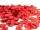 EUROPALMS Rosenblätter, künstlich, rot, 500x