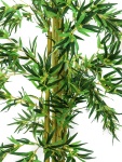 EUROPALMS Bambus Multistamm, Kunstpflanze, 210cm