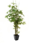 EUROPALMS Bamboo black trunk, artificial plant, 240cm