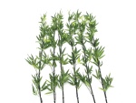 Bambusstab mit Blättern, künstlich, 180cm, 6er Pack