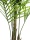 EUROPALMS Areca palm with big leaves, artificial plant, 165cm