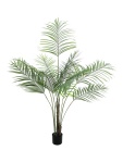 EUROPALMS Großblatt-Areca, Kunstpflanze, 185cm