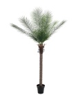 Phönix Palme deluxe, Kunstpflanze  220cm
