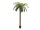 EUROPALMS Phoenix palm deluxe, artificial plant, 250cm