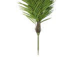 EUROPALMS Phoenix palm tree luxor, artificial plant, 150cm