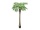 EUROPALMS Phoenix palm tree luxor, artificial plant, 210cm