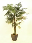 EUROPALMS Cycasrohr Palme, Kunstpflanze, 280cm