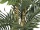 EUROPALMS Kentia palm tree, artificial plant, 140cm