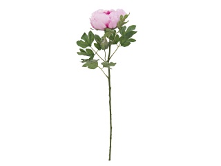 EUROPALMS Peony Branch classic, artificial plant, pink, 80cm
