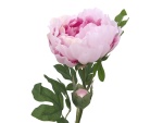EUROPALMS Peony Branch classic, artificial plant, pink, 80cm