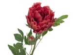 EUROPALMS Peony Branch classic, artificial plant,...