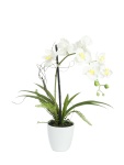 EUROPALMS Orchid arrangement 1, artificial