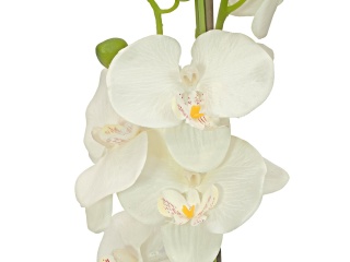 Orchidee, Kunstpflanze, cremefarben, 80cm