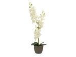 Orchidee, Kunstpflanze, cremefarben, 80cm