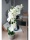 EUROPALMS Orchid, artificial plant, cream, 80cm