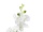 EUROPALMS Orchid, artificial plant, white, 80cm