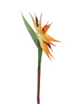 Paradiesvogel-Blume, Kunstpflanze, orange, 95cm