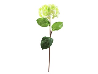 EUROPALMS Hortensienzweig, künstlich, grün, 76cm