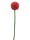 EUROPALMS Allium spray, artificial, red, 55cm