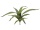 EUROPALMS Aloe (EVA), artificial, green, 66cm