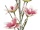 EUROPALMS Magnolia branch (EVA), artificial, white pink