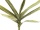 Yuccazweig (EVA), künstlich, grün