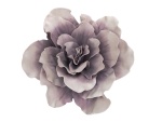 EUROPALMS Riesen-Blüte (EVA), künstlich, rose, 80cm