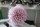 EUROPALMS Succulent Ball (EVA), artificial plant, pink, 16cm