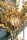EUROPALMS Artischocken Zweig (EVA), künstlich, beige, 100cm