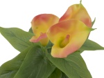 EUROPALMS Mini Calla, artificial plant, yellow-orange, 43cm