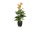 EUROPALMS Mini Calla, artificial plant, yellow-orange, 43cm