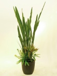 EUROPALMS Succulent-Mix, artificial plant, 190cm