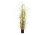 EUROPALMS Grass bush, artificial, 150cm