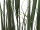 EUROPALMS Willow branch grass, artificial, 183cm