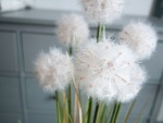 EUROPALMS Dandelion, artificial flower, 107cm