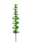 EUROPALMS Kristalleukalyptus, Kunstpflanze, grün, 81cm 12x