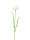 EUROPALMS Crystal tulip, artificial flower, white 61cm 12x