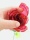 EUROPALMS Crystal rose, burgundy, artificial flower, 81cm 12x