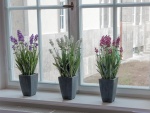 EUROPALMS Lavender, artificial plant, purple, in pot, 45cm