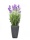 EUROPALMS Lavender, artificial plant, purple, in pot, 45cm