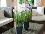 EUROPALMS Lavendel, Kunstpflanze, cremefarben, im Dekotopf, 45cm